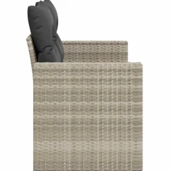 vidaXL Tuinbank 2-zits met kussens poly rattan lichtgrijs