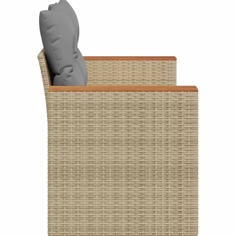 vidaXL Tuinbank 2-zits met kussens poly rattan beige