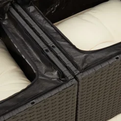 vidaXL Tuinbank 2-zits met kussens poly rattan zwart