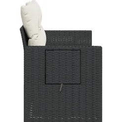 vidaXL Tuinbank 2-zits met kussens poly rattan zwart