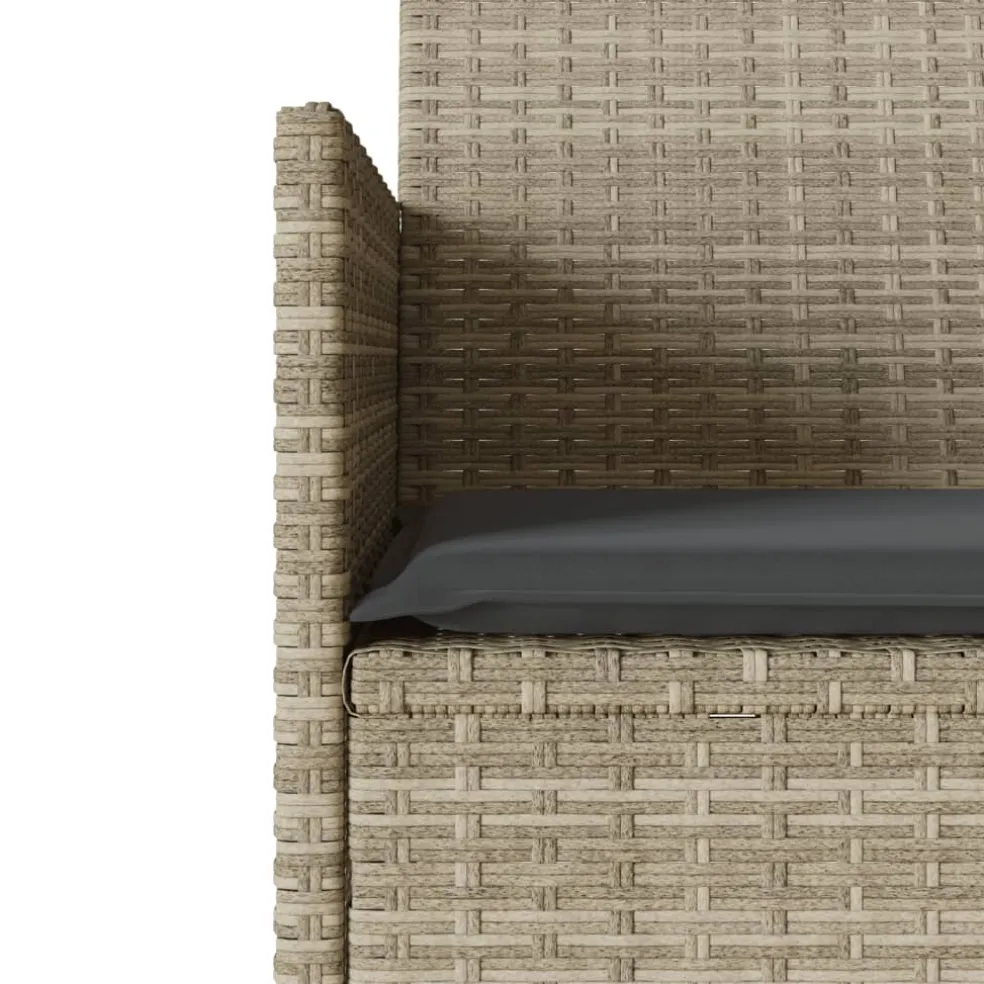 vidaXL Tuinbank 2-zits met tafel en kussens poly rattan lichtgrijs