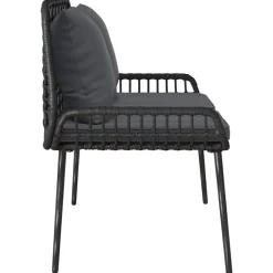 vidaXL Tuinbank Zwart en Anthraciet poly rattan