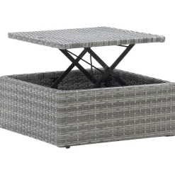 vidaXL Tuinbed met luifel poly rattan gemengd grijs