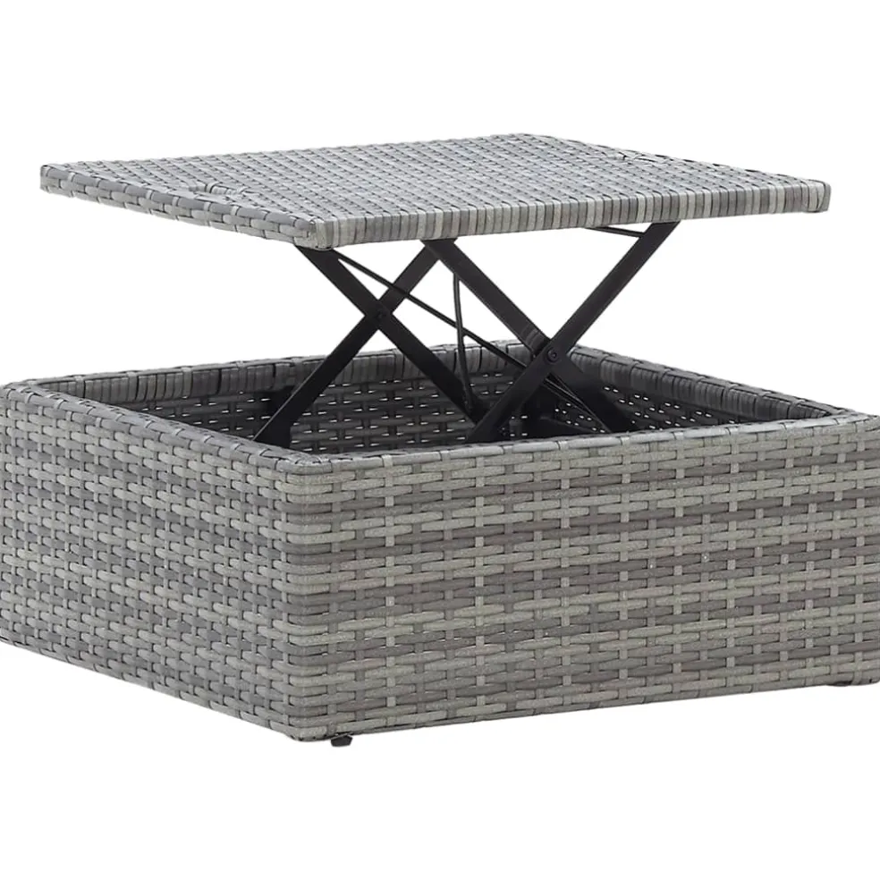 vidaXL Tuinbed met luifel poly rattan gemengd grijs