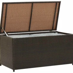 vidaXL Tuinbox 100x50x50 cm poly rattan bruin