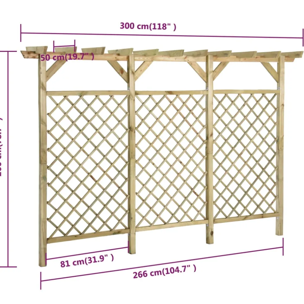 vidaXL Tuinhek met latwerk en pergola 300x50x200 cm geïmpregneerd hout