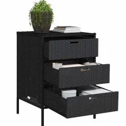 vidaXL Tuinkast 55x59x80 cm poly rattan zwart