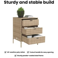 vidaXL Tuinkast 55x59x80 cm poly rattan beige