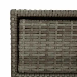 vidaXL Tuinkast 55x59x80 cm poly rattan grijs