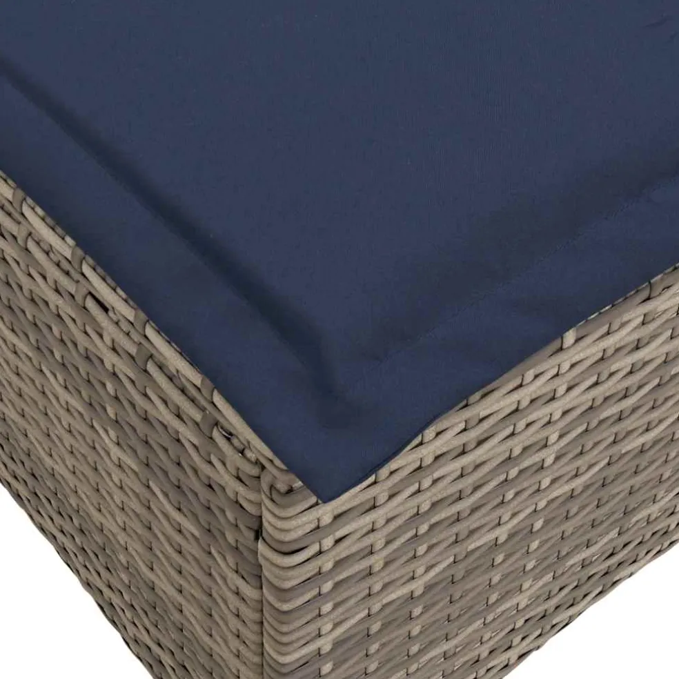 vidaXL Tuinkrukken met kussens 2 st 55x55x36 cm poly rattan grijs