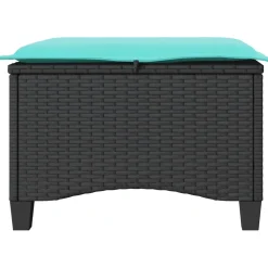 vidaXL Tuinkrukken met kussens 2 st 55x55x36 cm poly rattan zwart