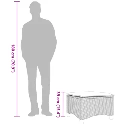 vidaXL Tuinkrukken met kussens 2 st 55x55x36 cm poly rattan grijs