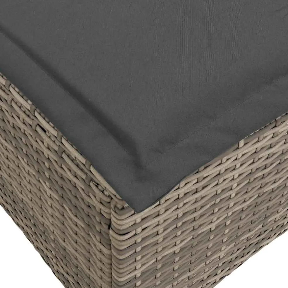 vidaXL Tuinkrukken met kussens 2 st 55x55x36 cm poly rattan grijs