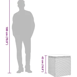 vidaXL Tuinkrukken met kussens 2 st 40x40x43 cm poly rattan zwart