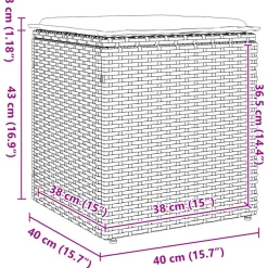 vidaXL Tuinkrukken met kussens 2 st 40x40x43 cm poly rattan zwart
