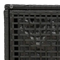 vidaXL Tuinkrukken met kussens 2 st 40x40x43 cm poly rattan zwart