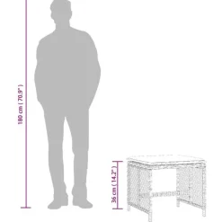 vidaXL Tuinkrukken 4 st met kussens 41x41x36 cm poly rattan zwart