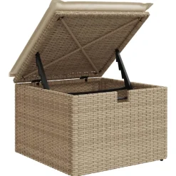 vidaXL Tuinkruk met kussen 55x55x37 cm poly rattan beige