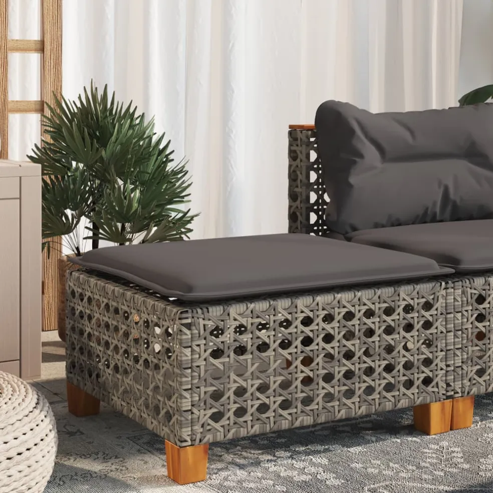 vidaXL Tuinkruk met kussen 63,5x56x32 cm poly rattan zwart