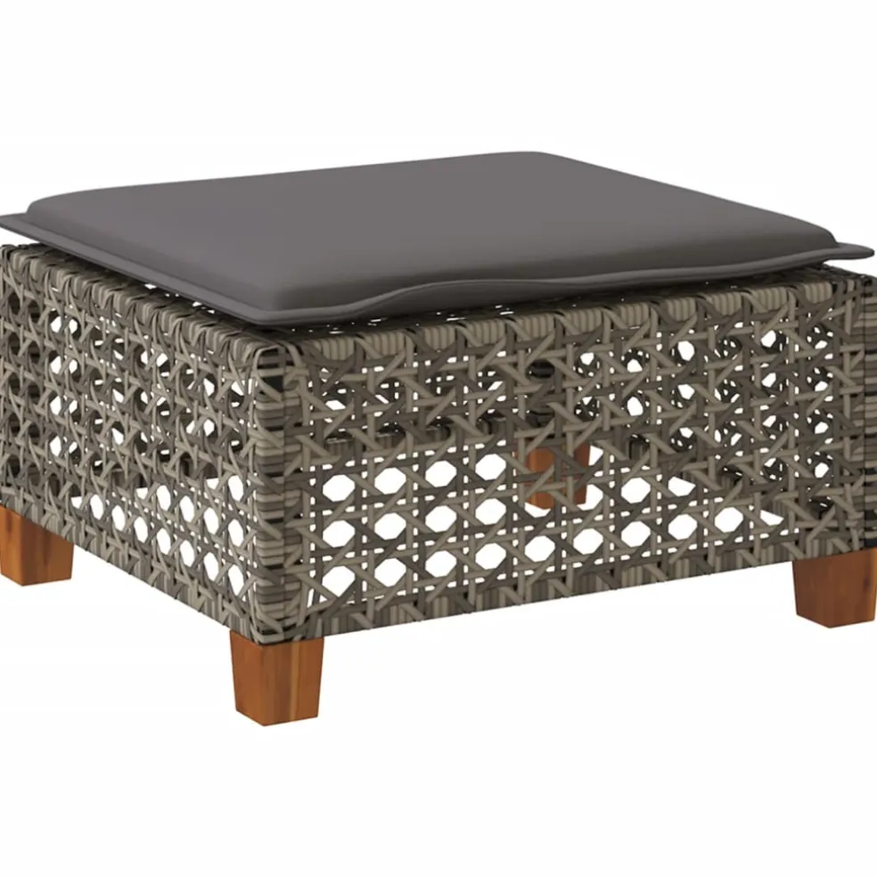 vidaXL Tuinkruk met kussen 63,5x56x32 cm poly rattan zwart