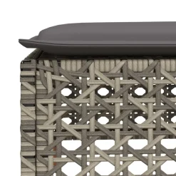 vidaXL Tuinkruk met kussen 63,5x56x32 cm poly rattan zwart