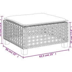 vidaXL Tuinkruk met kussen 63,5x56x32 cm poly rattan zwart