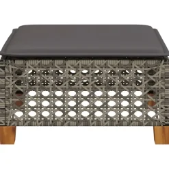 vidaXL Tuinkruk met kussen 63,5x56x32 cm poly rattan zwart