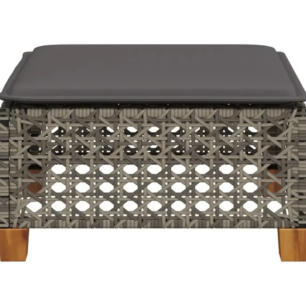 vidaXL Tuinkruk met kussen 63,5x56x32 cm poly rattan zwart