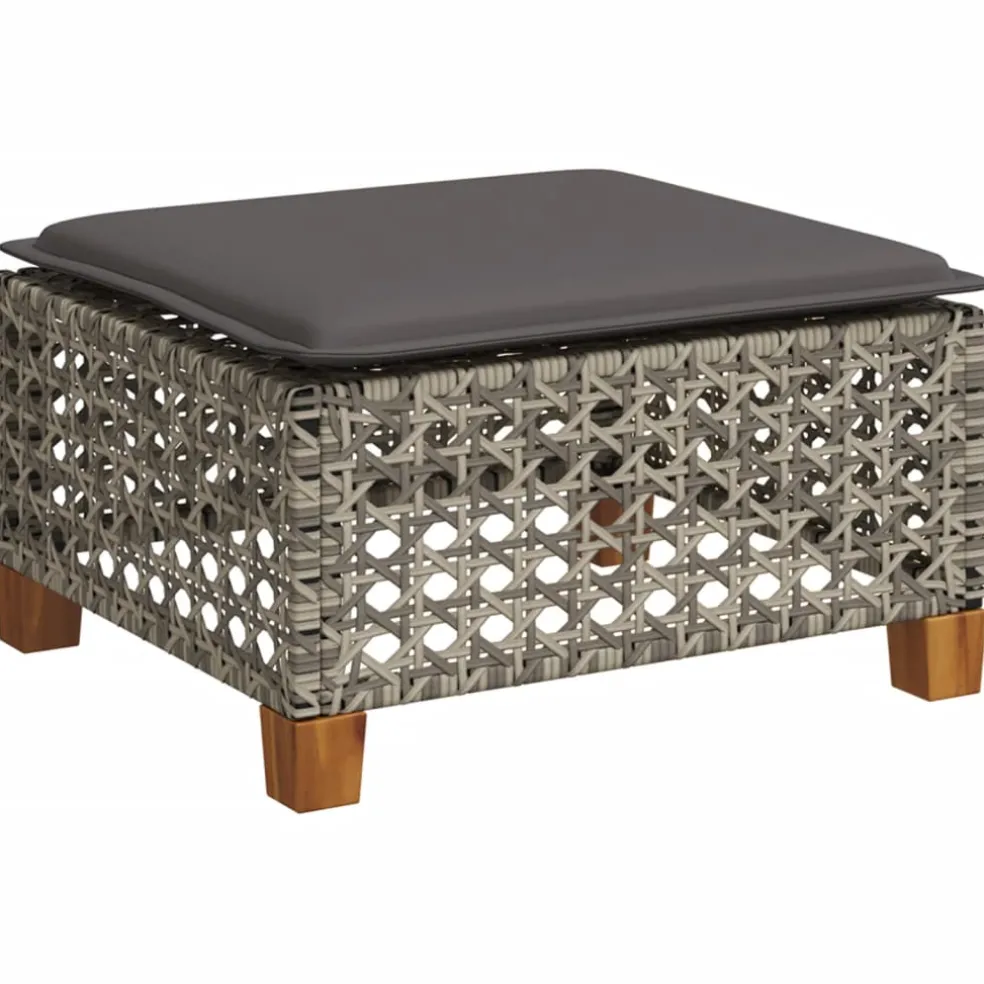 vidaXL Tuinkruk met kussen 63,5x56x32 cm poly rattan zwart