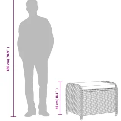 vidaXL Tuinkruk met kussen 58x46x46 cm poly rattan grijs
