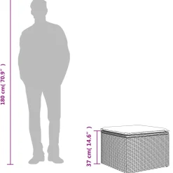 vidaXL Tuinkruk met kussen 55x55x37 cm poly rattan zwart