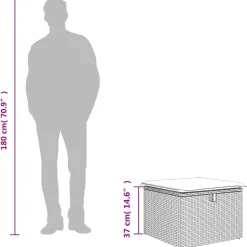 vidaXL Tuinkruk met kussen 55x55x37 cm poly rattan lichtgrijs