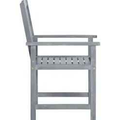 vidaXL Tuinstoelen 2 st massief acaciahout grijs