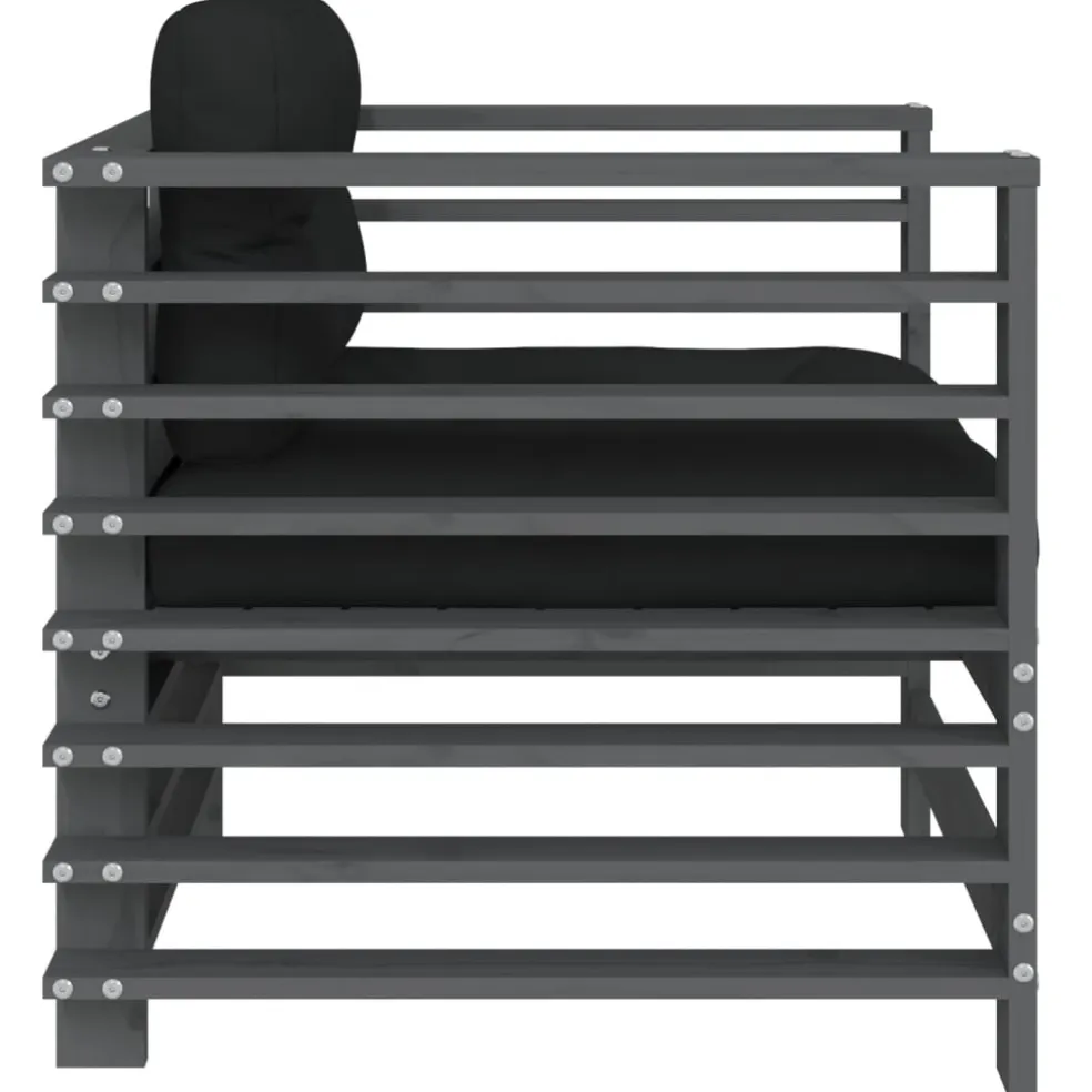 vidaXL Tuinstoelen 2 st met kussens massief grenenhout grijs