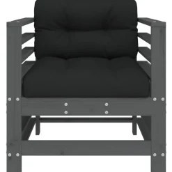 vidaXL Tuinstoelen 2 st met kussens massief grenenhout grijs