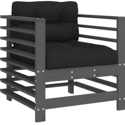vidaXL Tuinstoelen 2 st met kussens massief grenenhout grijs