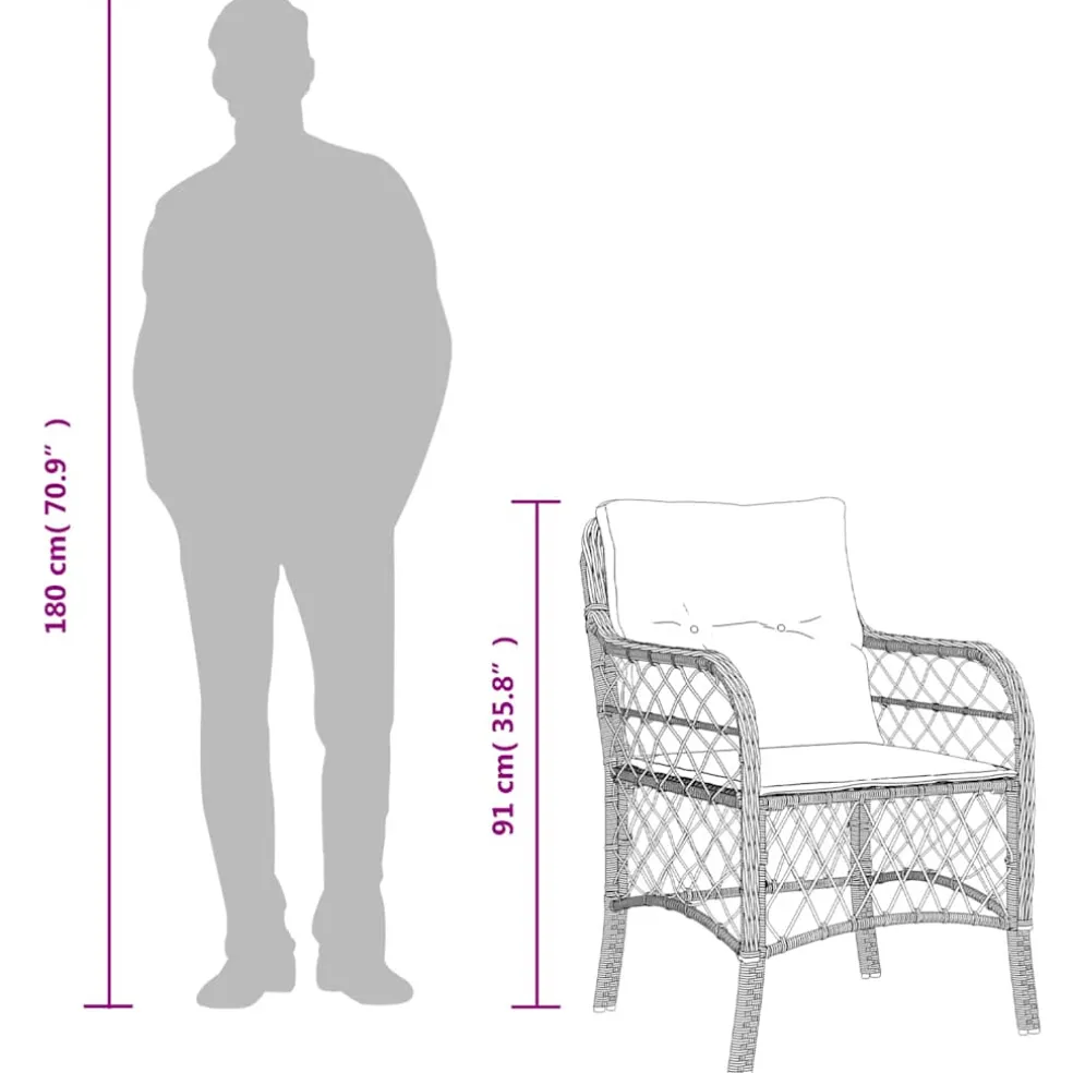 vidaXL Tuinstoelen 2 st met kussens poly rattan zwart