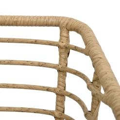 vidaXL Tuinstoelen 2 st met kussens poly rattan eikenkleurig