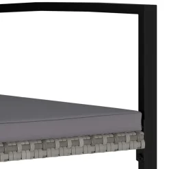 vidaXL Tuinstoelen 2 st poly rattan grijs
