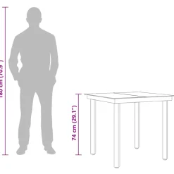 vidaXL Tuintafel 80x80x74 cm staal en glas zwart