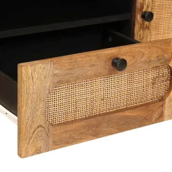vidaXL TV-kast Bruin 105 x 33 x 46 cm Massief Mango Hout