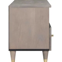 vidaXL TV-kast Grijs 100 x 33 x 46 cm Massief Mango Hout