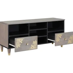 vidaXL TV-kast Grijs 100 x 33 x 46 cm Massief Mango Hout