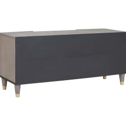 vidaXL TV-kast Grijs 105 x 33 x 46 cm Massief Mango Hout