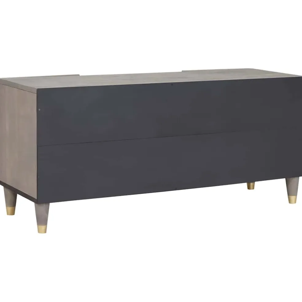 vidaXL TV-kast Grijs 105 x 33 x 46 cm Massief Mango Hout