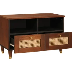 vidaXL TV-kast met lade Bruin 70 x 33,5 x 46 cm Massief Mango Hout