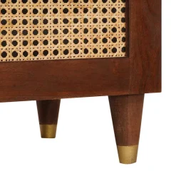 vidaXL TV-kast met lade Bruin 70 x 33,5 x 46 cm Massief Mango Hout