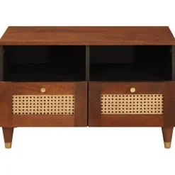 vidaXL TV-kast met lade Bruin 70 x 33,5 x 46 cm Massief Mango Hout