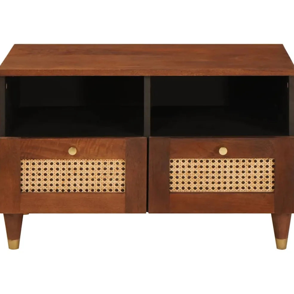 vidaXL TV-kast met lade Bruin 70 x 33,5 x 46 cm Massief Mango Hout
