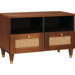 vidaXL TV-kast met lade Bruin 70 x 33,5 x 46 cm Massief Mango Hout